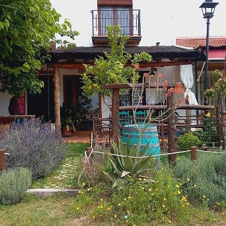 엘로시오 Jardines Del Acebron 게스트하우스 외부 사진