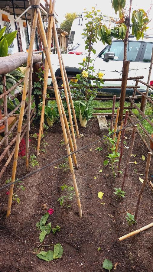 엘로시오 Jardines Del Acebron 게스트하우스 외부 사진
